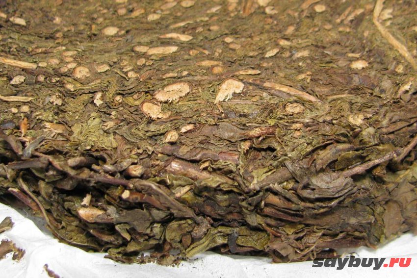 Тысячеляновый черный чай Хей Ча 2013 года - чай крупным планом